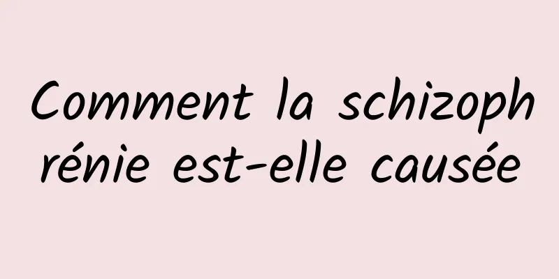 Comment la schizophrénie est-elle causée