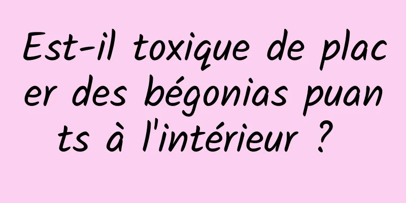 Est-il toxique de placer des bégonias puants à l'intérieur ? 