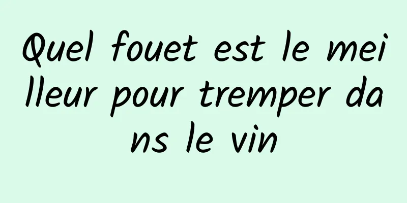 Quel fouet est le meilleur pour tremper dans le vin