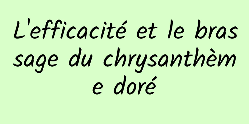 L'efficacité et le brassage du chrysanthème doré