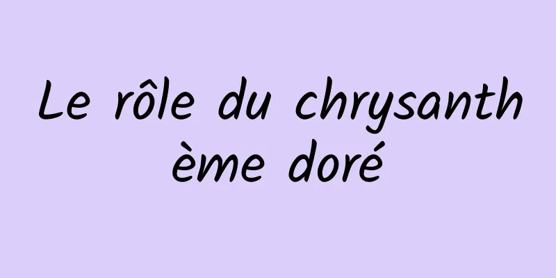 Le rôle du chrysanthème doré