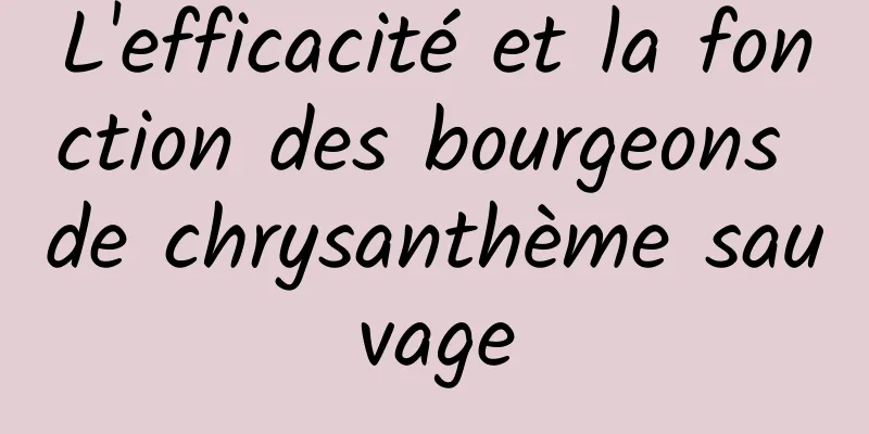 L'efficacité et la fonction des bourgeons de chrysanthème sauvage