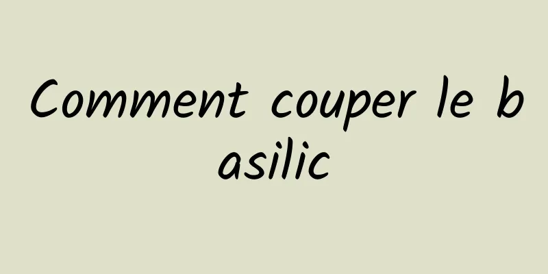 Comment couper le basilic