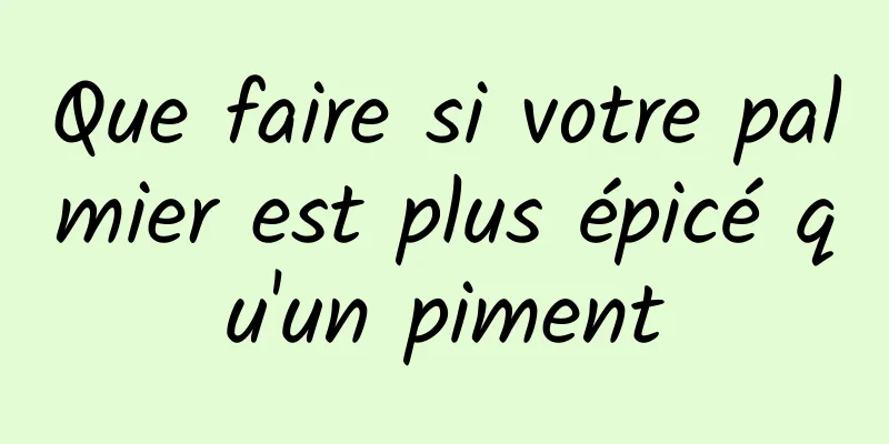 Que faire si votre palmier est plus épicé qu'un piment