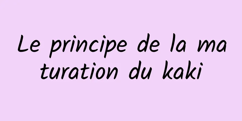 Le principe de la maturation du kaki