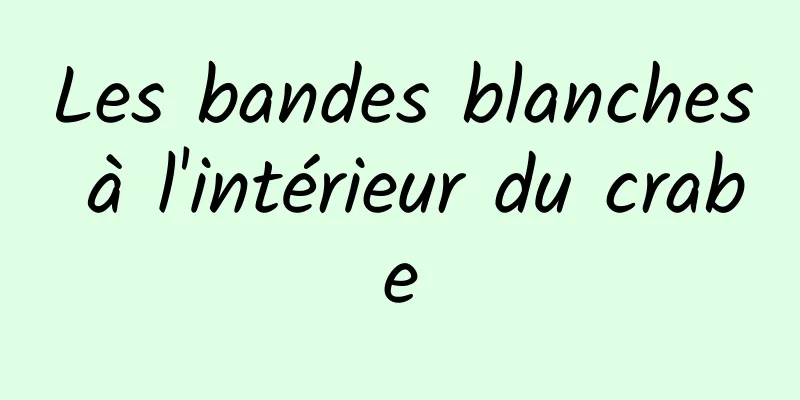 Les bandes blanches à l'intérieur du crabe