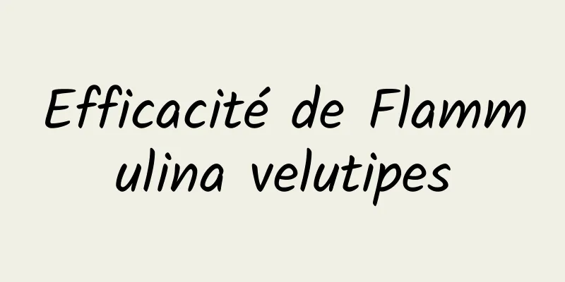 Efficacité de Flammulina velutipes