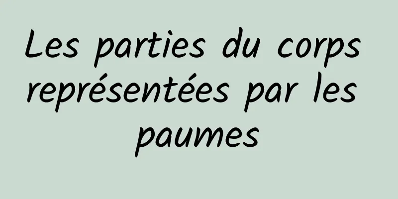 Les parties du corps représentées par les paumes