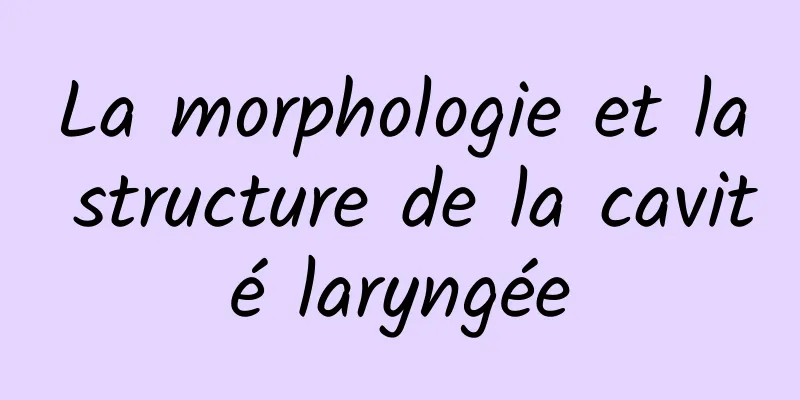 La morphologie et la structure de la cavité laryngée