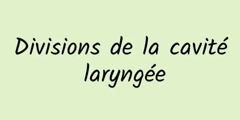 Divisions de la cavité laryngée