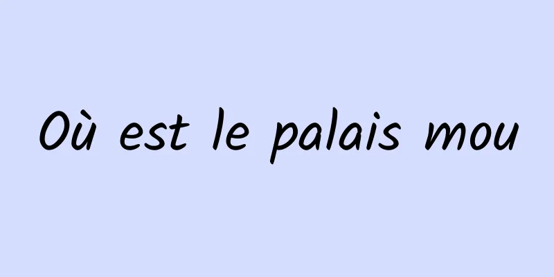 Où est le palais mou