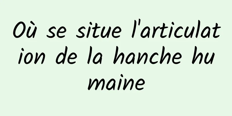 Où se situe l'articulation de la hanche humaine