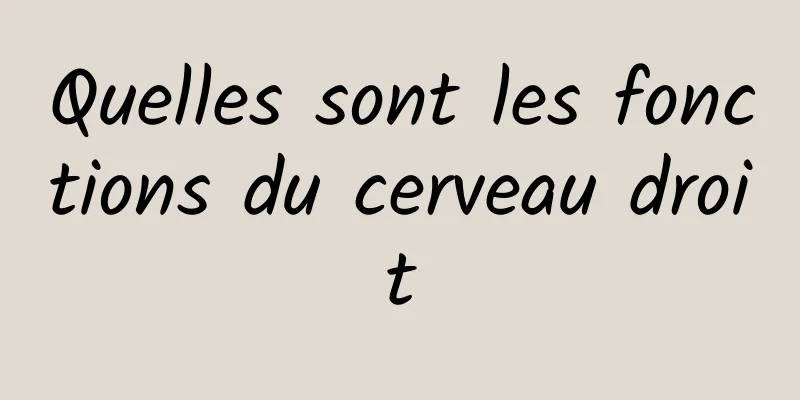 Quelles sont les fonctions du cerveau droit