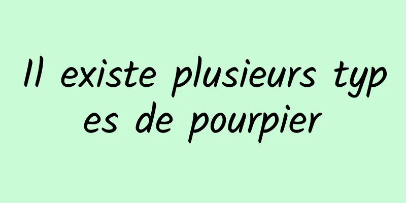 Il existe plusieurs types de pourpier