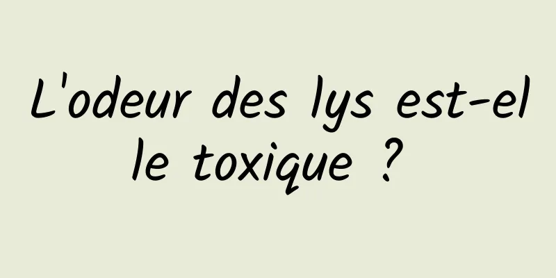 L'odeur des lys est-elle toxique ? 