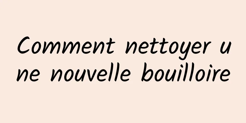 Comment nettoyer une nouvelle bouilloire