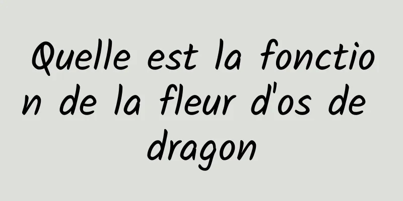 Quelle est la fonction de la fleur d'os de dragon