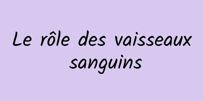 Le rôle des vaisseaux sanguins