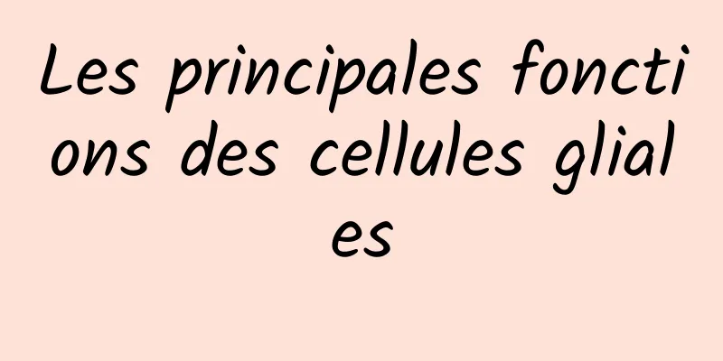 Les principales fonctions des cellules gliales