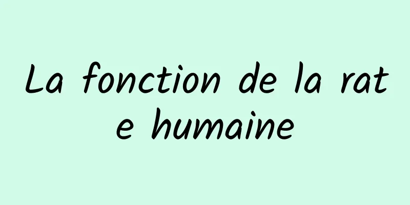 La fonction de la rate humaine