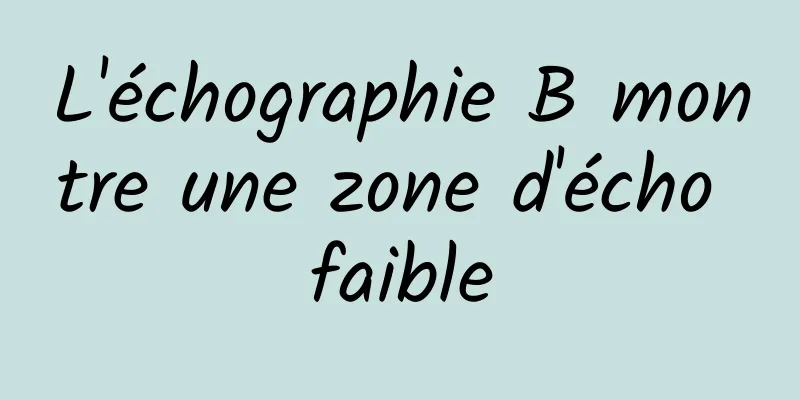 L'échographie B montre une zone d'écho faible