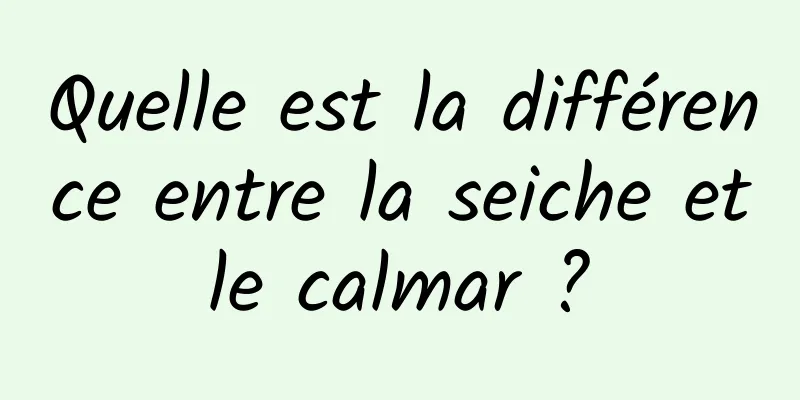 Quelle est la différence entre la seiche et le calmar ? 