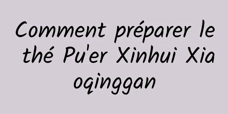 Comment préparer le thé Pu'er Xinhui Xiaoqinggan