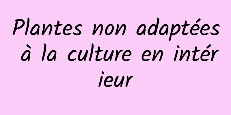 Plantes non adaptées à la culture en intérieur