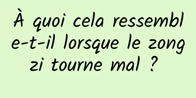 À quoi cela ressemble-t-il lorsque le zongzi tourne mal ? 