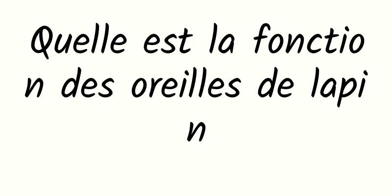 Quelle est la fonction des oreilles de lapin