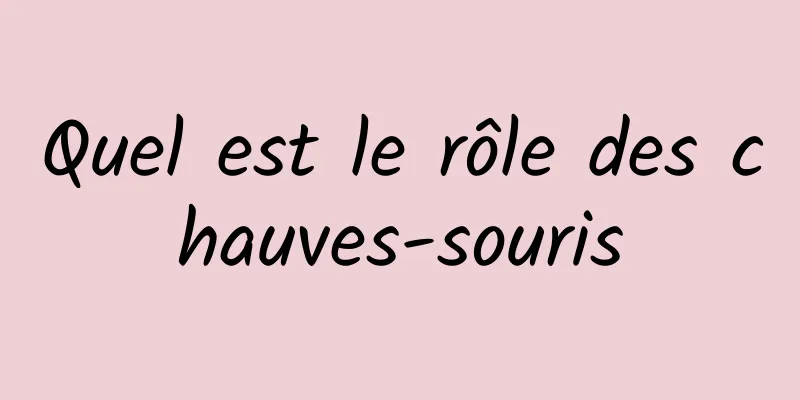 Quel est le rôle des chauves-souris