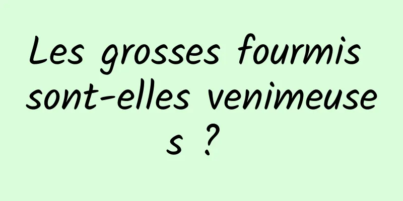 Les grosses fourmis sont-elles venimeuses ? 