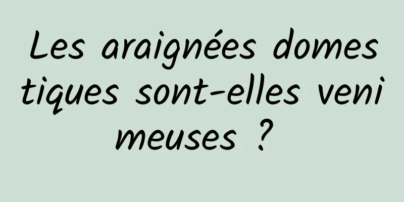 Les araignées domestiques sont-elles venimeuses ? 