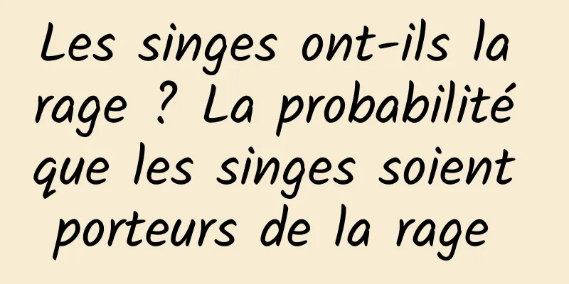 Les singes ont-ils la rage ? La probabilité que les singes soient porteurs de la rage 