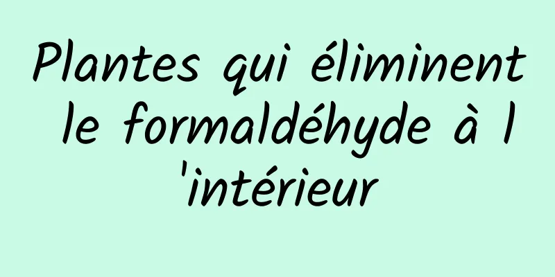 Plantes qui éliminent le formaldéhyde à l'intérieur