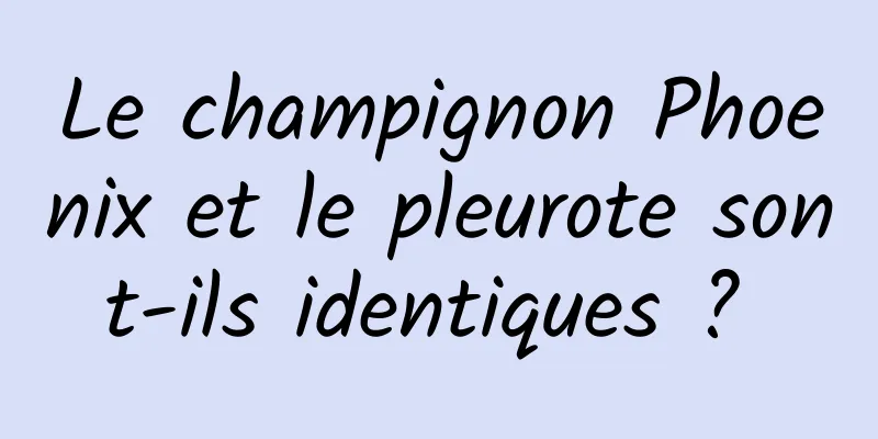 Le champignon Phoenix et le pleurote sont-ils identiques ? 