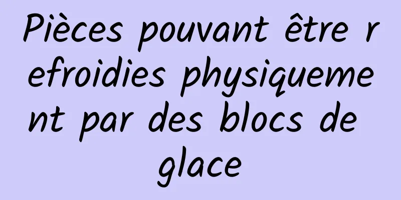 Pièces pouvant être refroidies physiquement par des blocs de glace