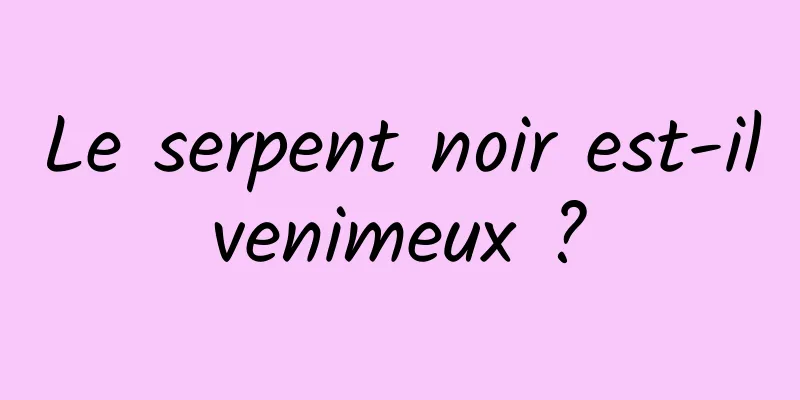 Le serpent noir est-il venimeux ? 