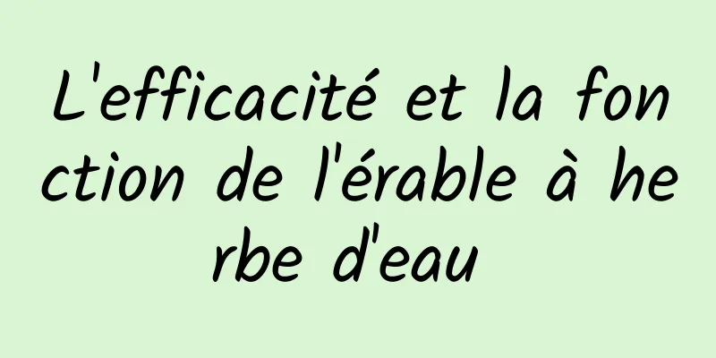 L'efficacité et la fonction de l'érable à herbe d'eau 