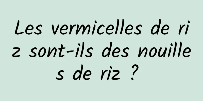 Les vermicelles de riz sont-ils des nouilles de riz ? 