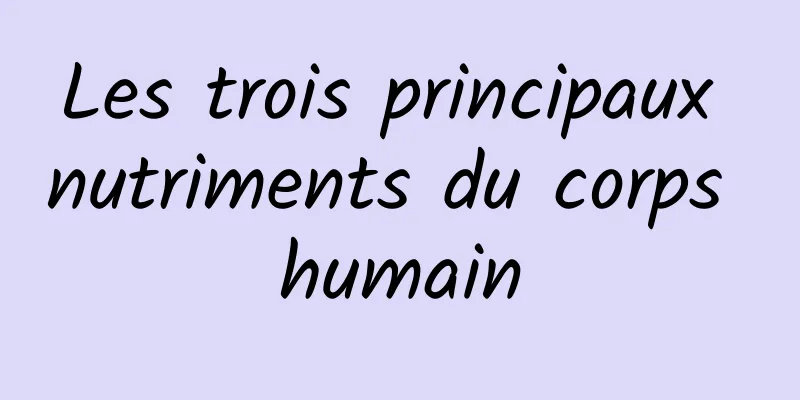 Les trois principaux nutriments du corps humain