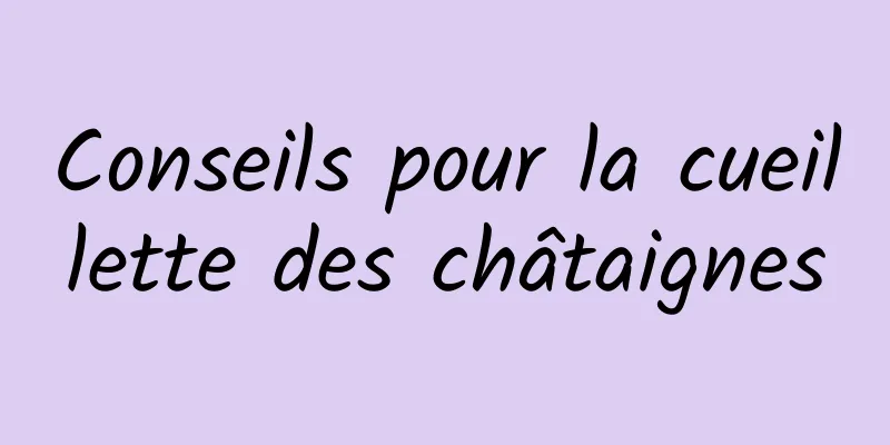 Conseils pour la cueillette des châtaignes