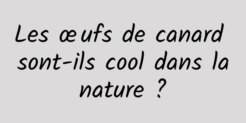 Les œufs de canard sont-ils cool dans la nature ? 