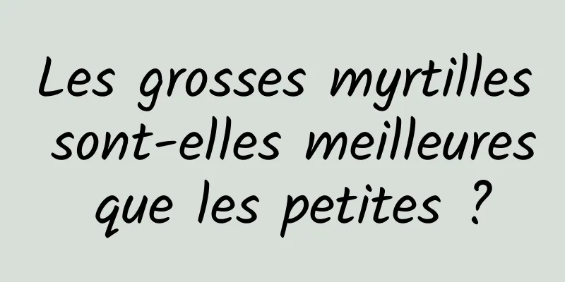 Les grosses myrtilles sont-elles meilleures que les petites ?