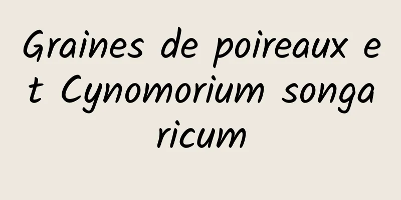 Graines de poireaux et Cynomorium songaricum