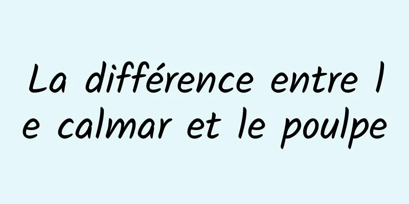 La différence entre le calmar et le poulpe