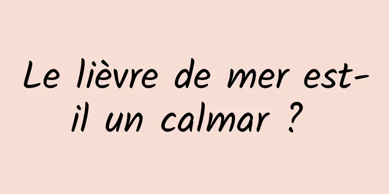 Le lièvre de mer est-il un calmar ? 