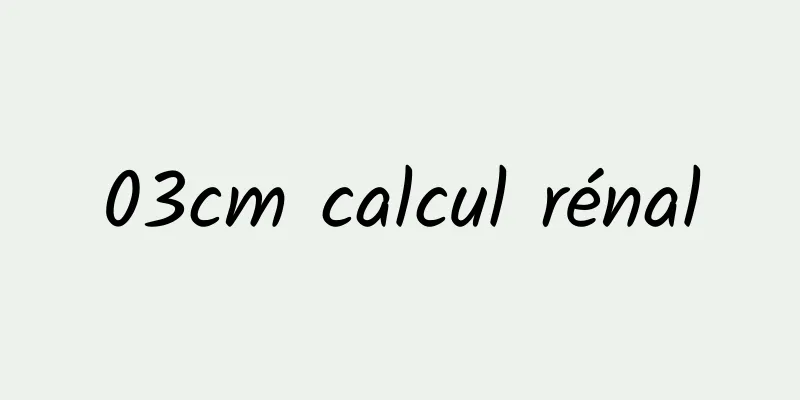 03cm calcul rénal