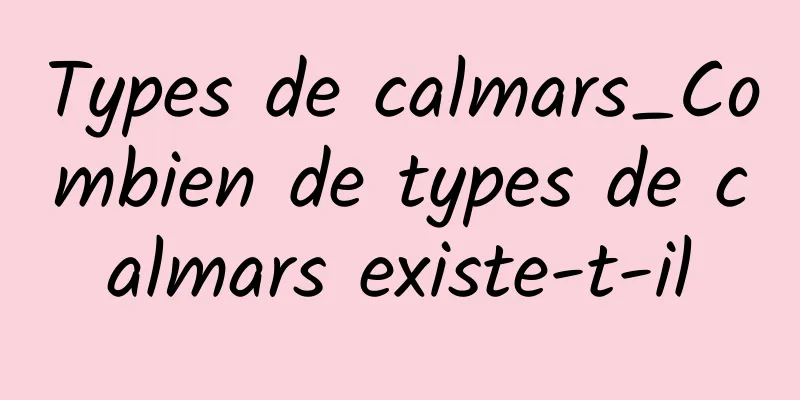 Types de calmars_Combien de types de calmars existe-t-il