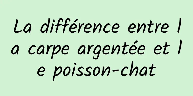 La différence entre la carpe argentée et le poisson-chat